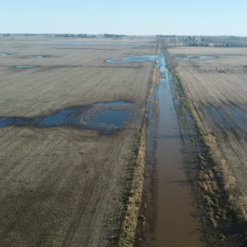 La Provincia Prorrog&oacute; La Emergencia Agropecuaria En Dos Distritos Del Sudoeste