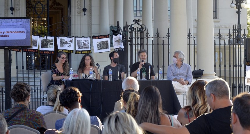 El Municipio De Tigre Realizó Una Charla Debate Sobre Arte Y Artivismo Con Eje En La Preservación Y La Defensa De Los Humedales