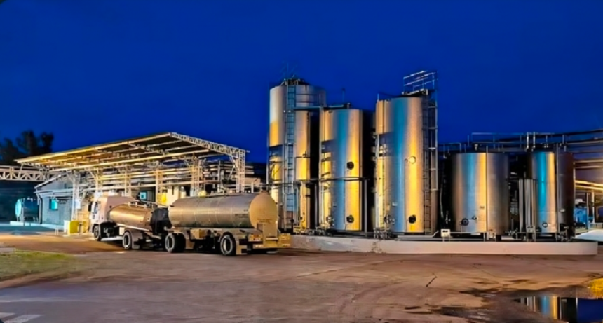 Quebr&oacute; La Empresa Que Hac&iacute;a Los Postres Shimmy De Sancor Y Echaron A 400 Trabajadores