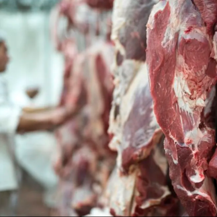 Cerr&oacute; Un Frigor&iacute;fico En El Conurbano Y Hay 140 Despidos