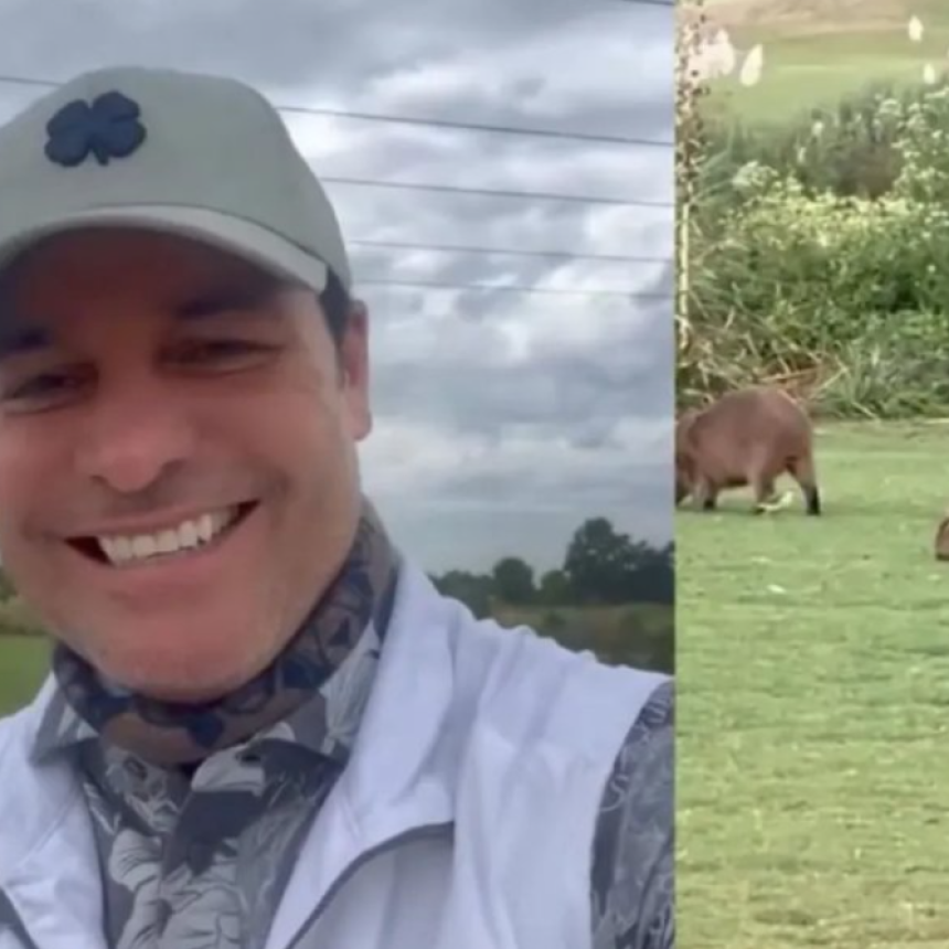 Chayanne Y Su Amor Por Los Carpinchos En Nordelta