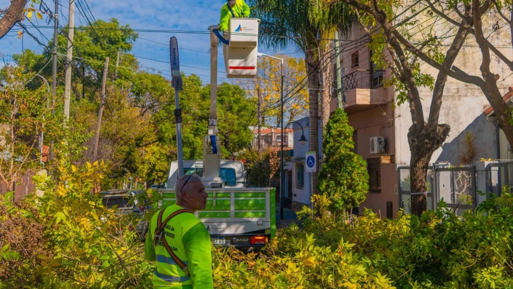 San Fernando Inició Una Nueva Temporada De Poda Programada Para Cuidar Los Árboles
