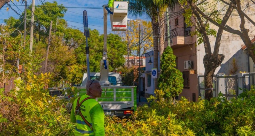 San Fernando Inició Una Nueva Temporada De Poda Programada Para Cuidar Los Árboles