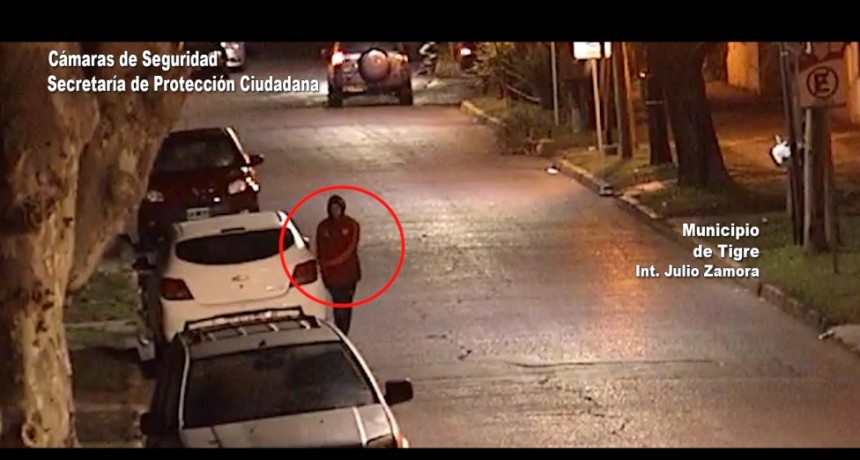 En Tigre Las Cámaras Lo Captaron Cuando Robaba El Estéreo De Un Vehículo Y El Cot Lo Detuvo Rápidamente